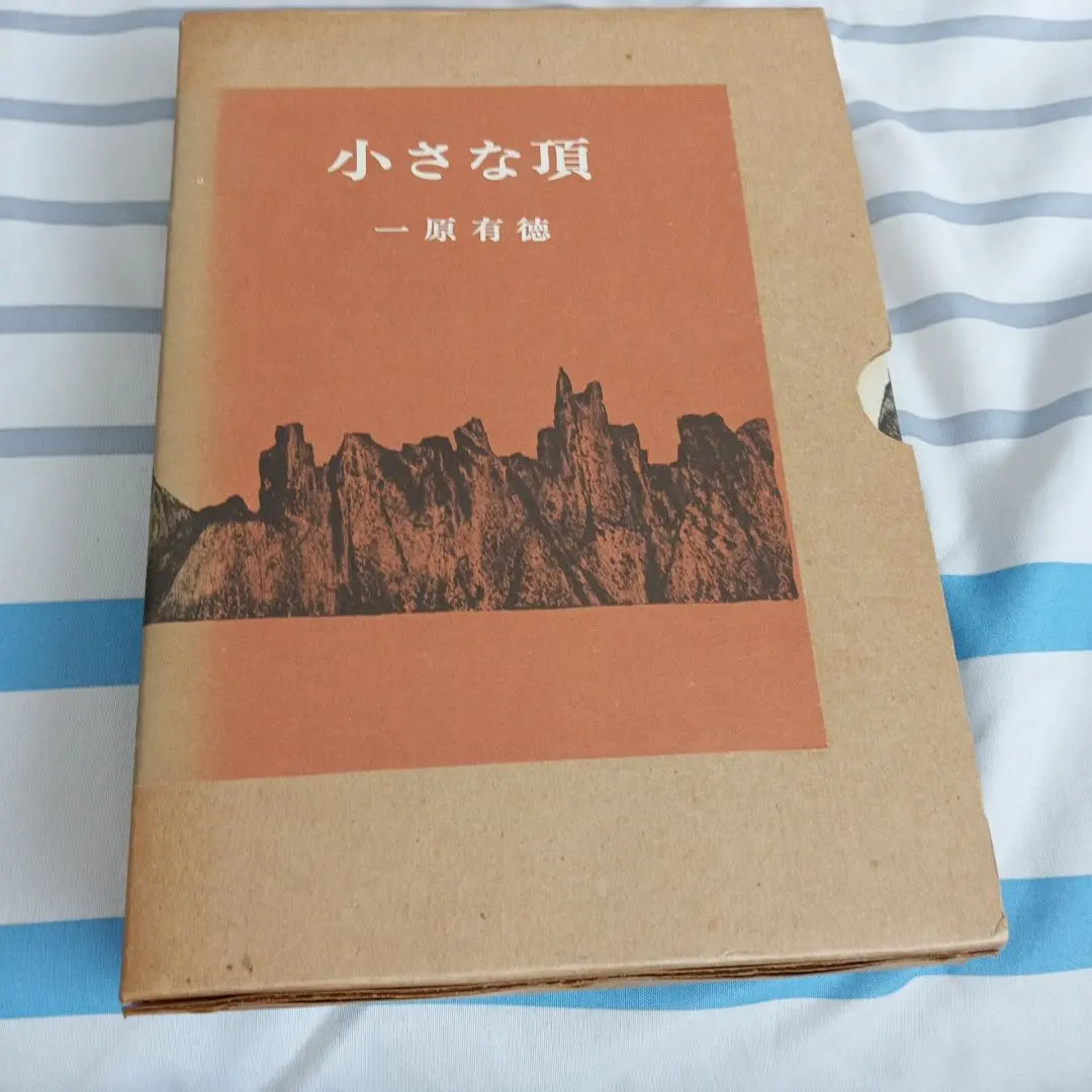 真作保証 現代版画の鬼才 一原有徳「利尻富士」版画 額装 2025年最新】一原有徳の人気アイテム - メルカリ