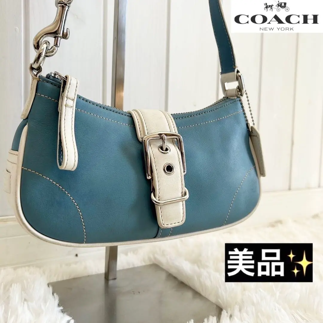 COACH コーチ ハンドバッグ アクセサリーポーチ シグネチャー ブルー 2025年最新】COACH / コーチ アクセサリーポーチ ホワイト