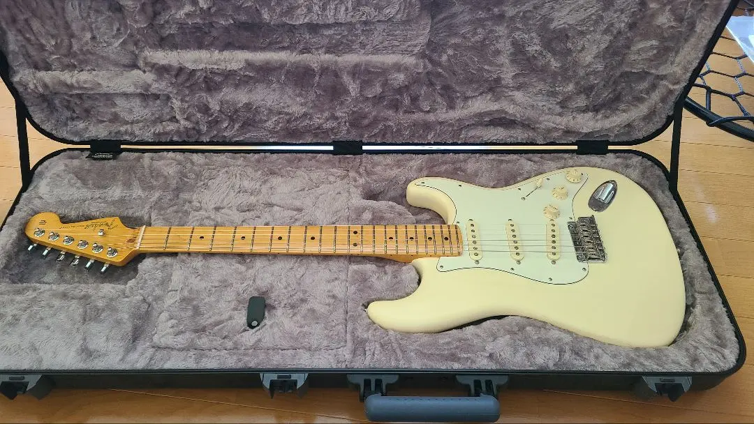 2025年最新】Fender american professional ii stratocasterの