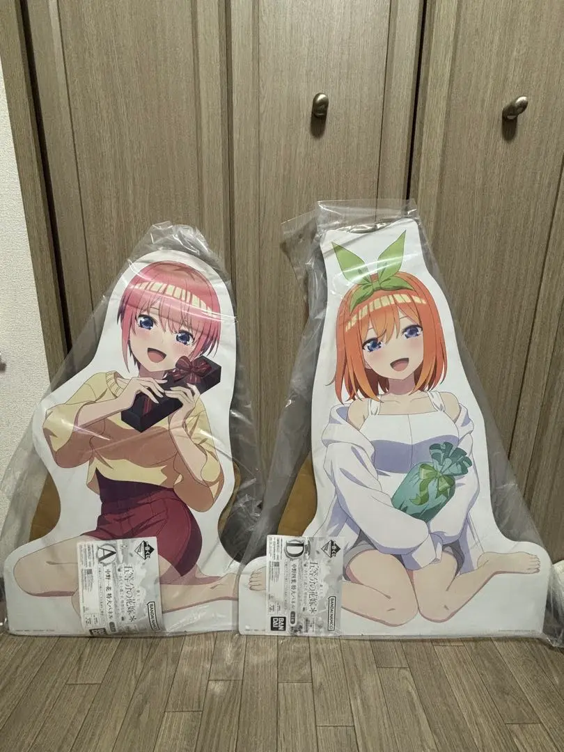 【セール中】 五等分の花嫁 中野二乃 アニメジャパン限定 特大ブランケット Amazon.co.jp: 五等分の花嫁 チャイナドレス クリアファイル