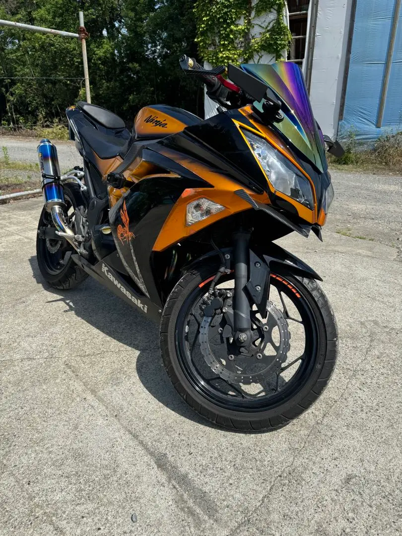 ニンジャ250カウル  EX250L  Ninja250 ﾆﾝｼﾞｬ250(NINJA) EX250L EV1 250cc中古ﾊﾞｲｸ 通信販売可能