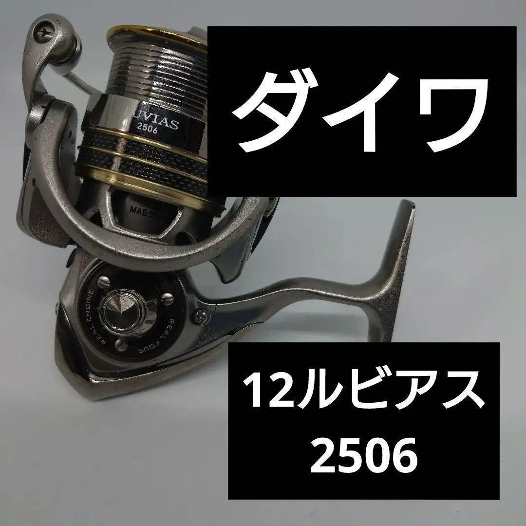 DAIWA　ルビアス2506　替えスプール付き　ライン付き　シーバス　エギング 2025年最新】ルビアス2506の人気アイテム - メルカリ