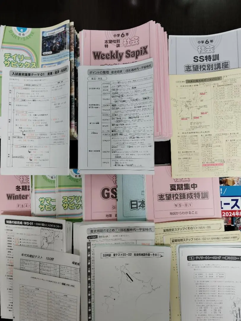 SAPIX 理科 6年 知識の総完成 社会 データバンク ポイント 記述 用語 SAPIX サピックス 理科6年 知識の総完成 赤シート 未使用解答
