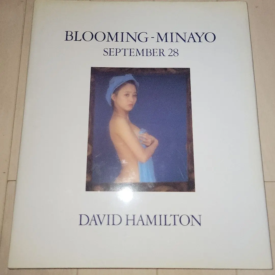 David Hamilton 写真集　図版　体位　構図　技術　芸術家 David Hamilton 写真集 図版 体位 構図 技術 芸術家 アート