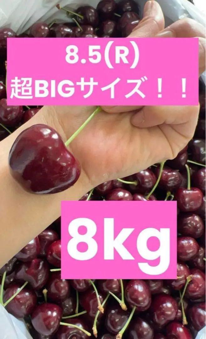 ‼️シーズン初入荷‼️チェリー　アメリカンチェリー　さくらんぼ樱桃　8kg 激安‼️ 8kg新鮮アメリカンチェリー さくらんぼ チェリー 櫻桃