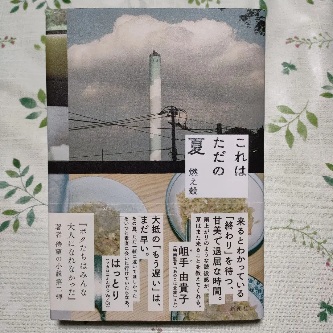 未使用 マカロニえんぴつ はっとり 著 『 ことばの種 』 サイン