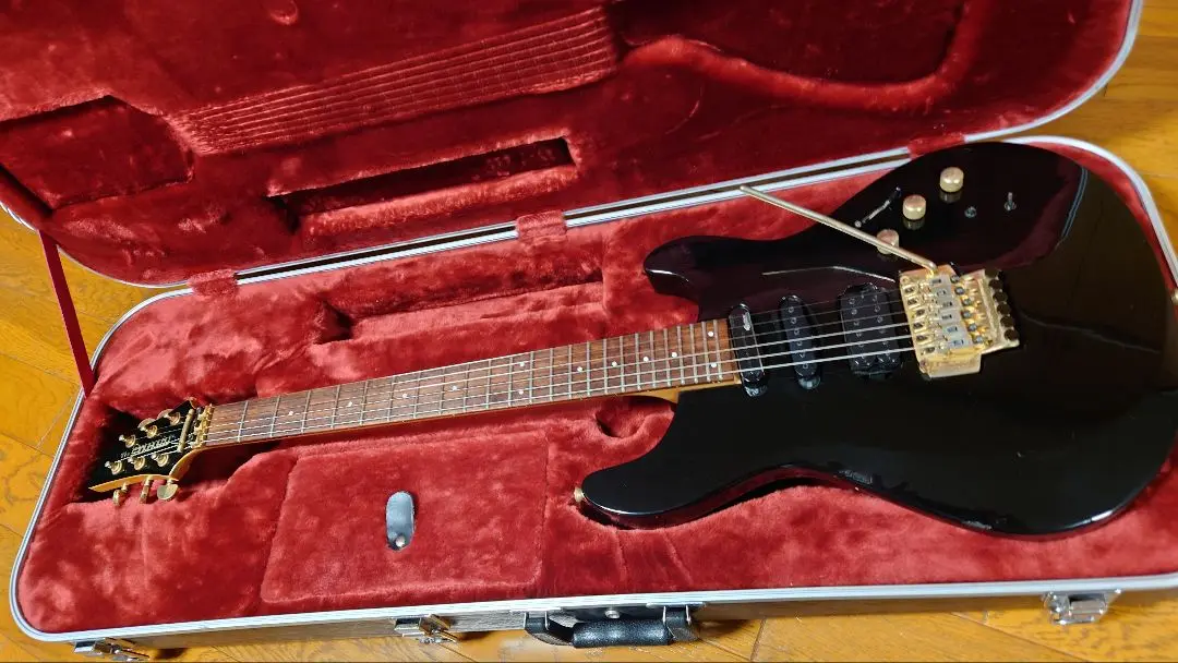 希少　FERNANDES  APG85S burny サスティナー FERNANDES APG85s 限定カラー【サスティナー搭載】（FERNANDES