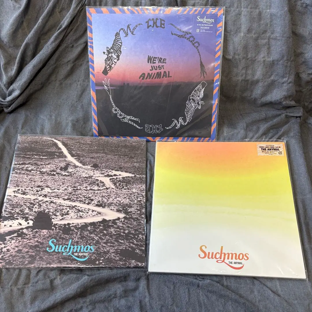 2025年最新】suchmos レコード ashtrayの人気アイテム - メルカリ