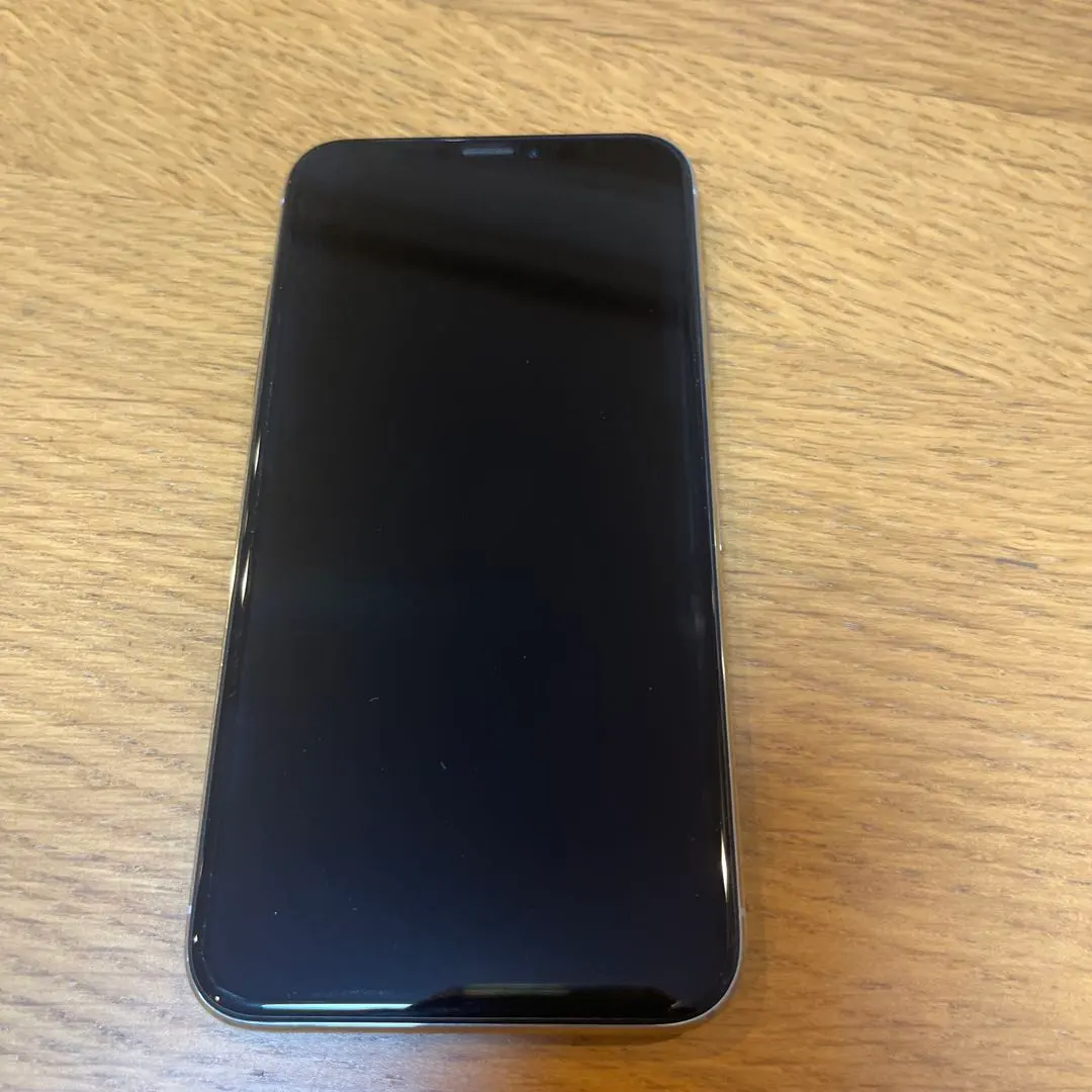 Thumbnail of iPhone X Body 256GB