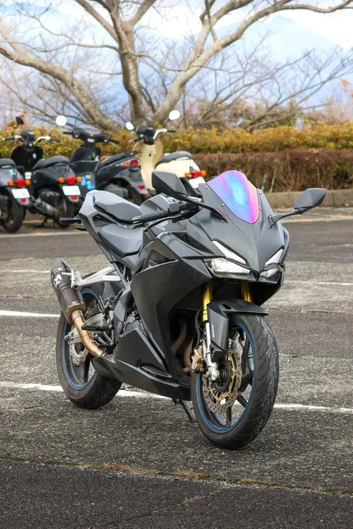 2025年最新】cbr250rr マフラー アクラポビッチの人気アイテム