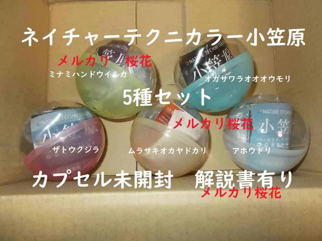 キタンクラブ ネイチャーテクニカラー 小笠原 ムラサキ