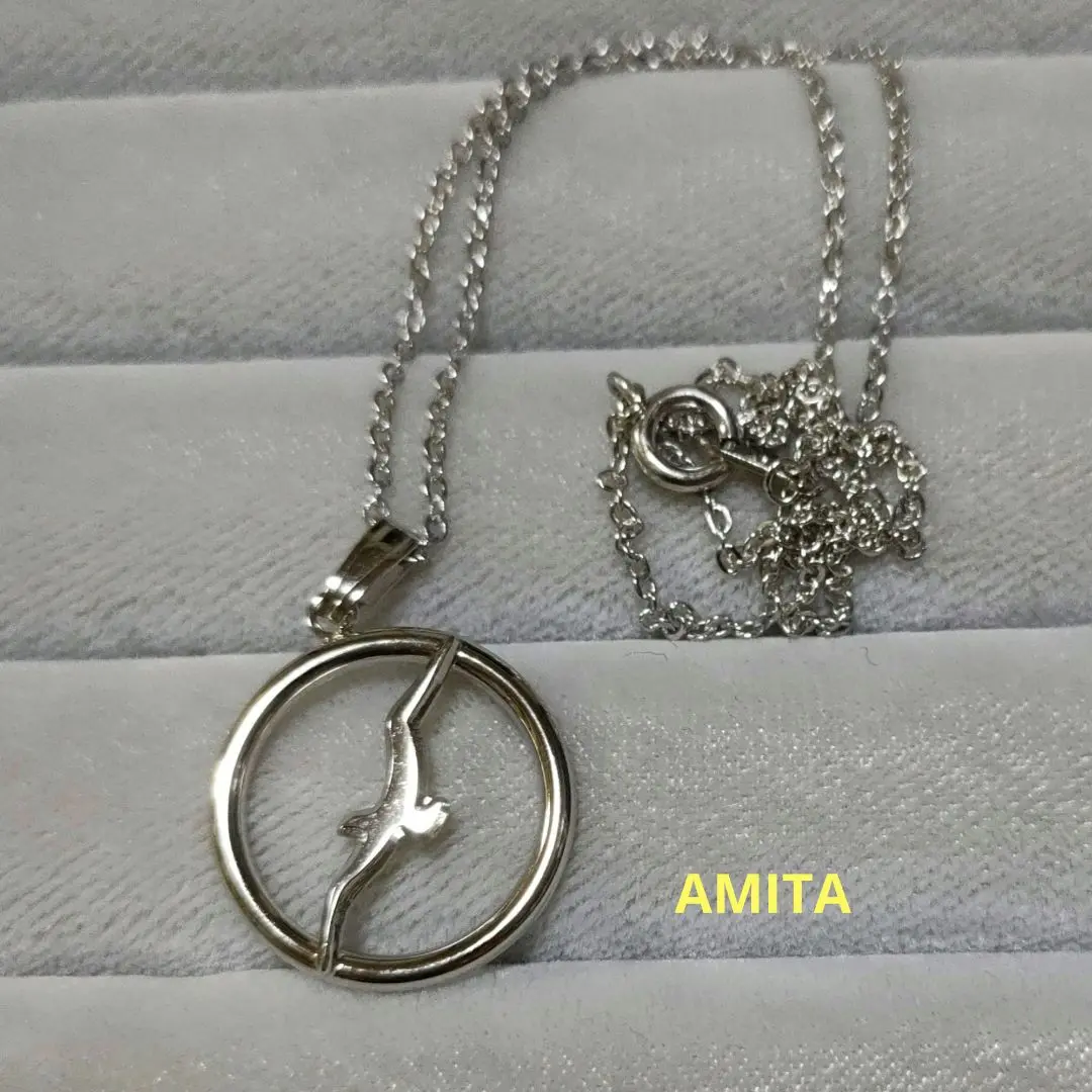 2025年最新】Amita ネックレスの人気アイテム - メルカリ