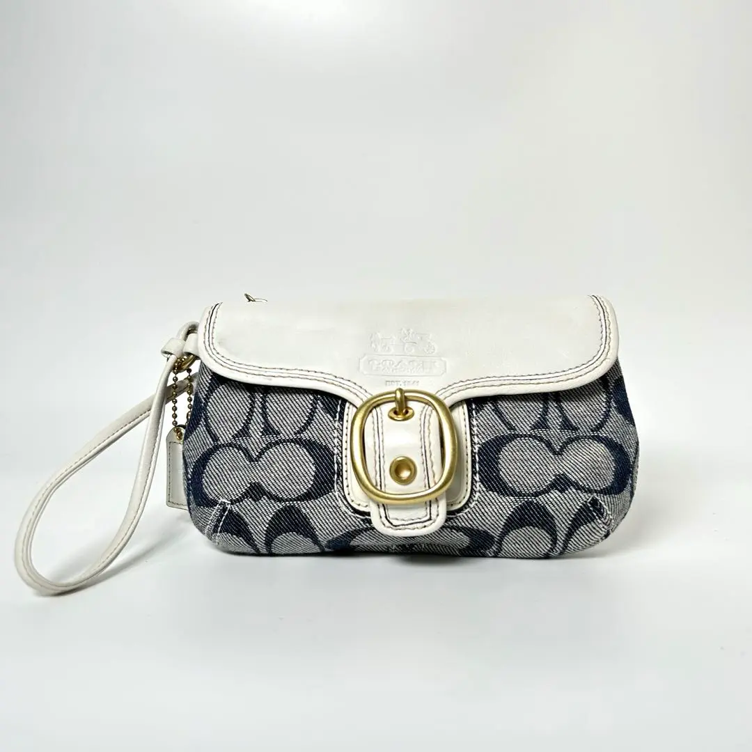 希少　COACH コーチ　アクセサリーポーチ　ハンドバッグ　シグネチャー　白 希少カラー COACH コーチ ワンショルダー バッグ アクセサリー