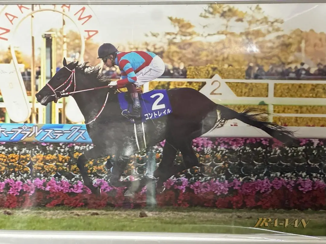 2025年最新】優勝馬記念パネルの人気アイテム - メルカリ
