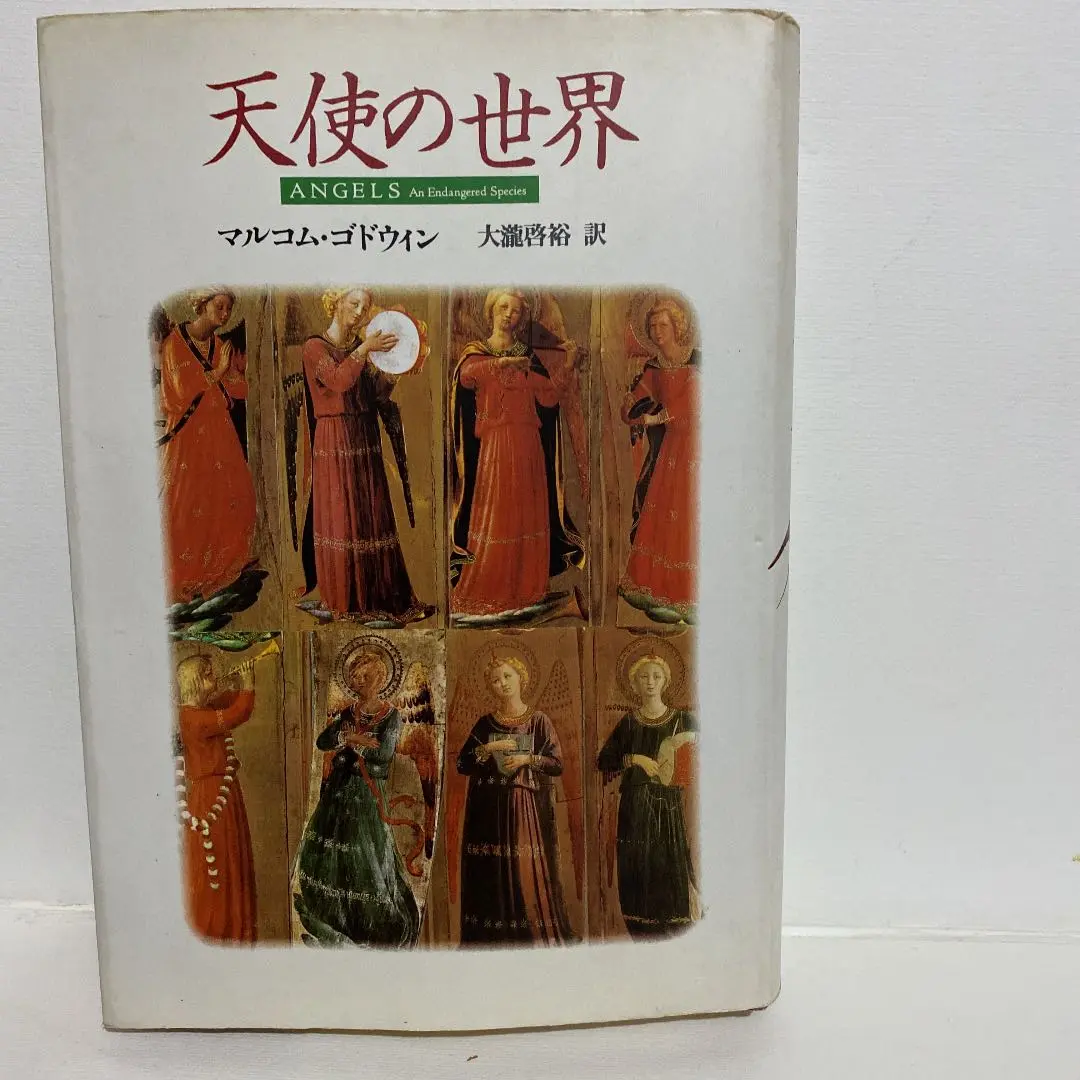 【中古】 天使の世界 新装版/青土社/マルコム・ゴドウィン 2025年最新】マルコムゴドウィンの人気アイテム - メルカリ