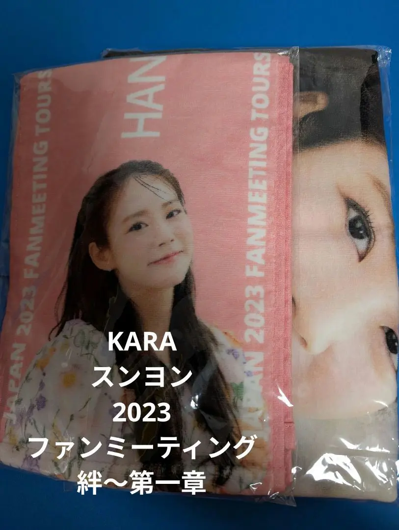 【特別値下げ】KARA スンヨン 韓国ファンミトレカ 2025年最新】kara スンヨン ファンミーティングの人気アイテム