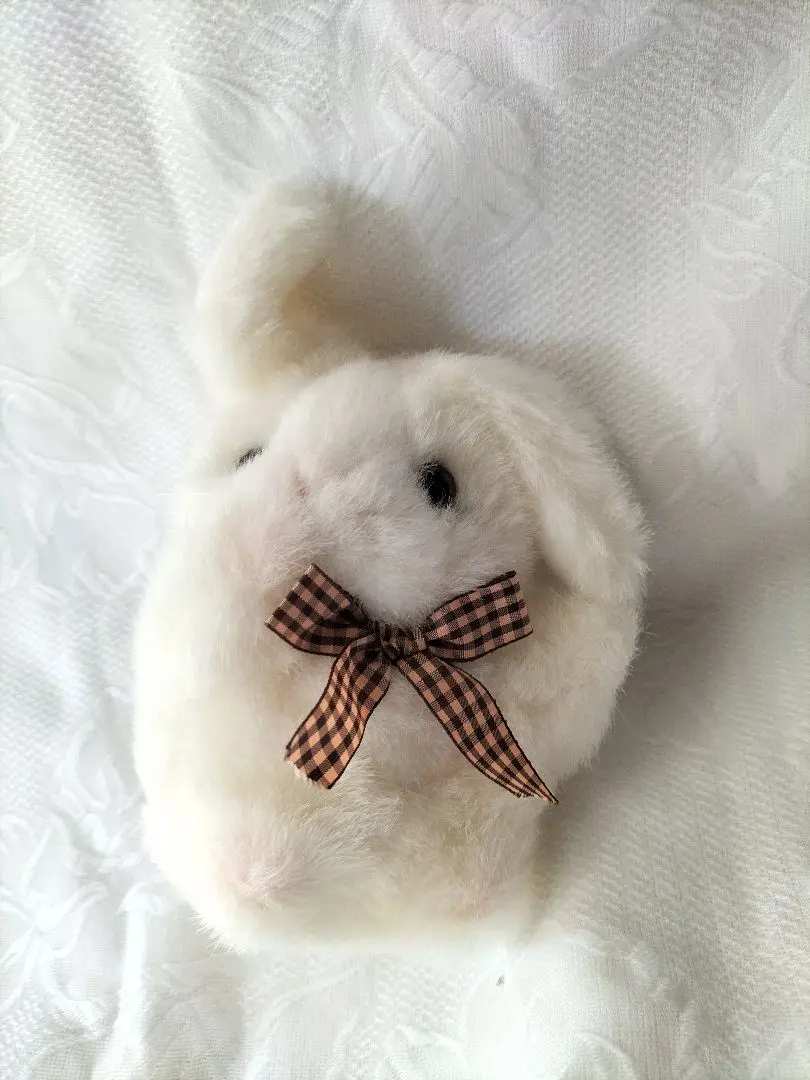 アバンセ　ペルシャ猫　ぬいぐるみ　中古品 アバンセ ペルシャ猫 ぬいぐるみ 中古品 - メルカリ