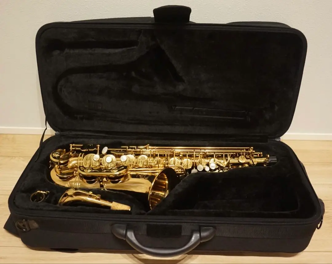 2025年最新】カドソン サックスの人気アイテム - メルカリ