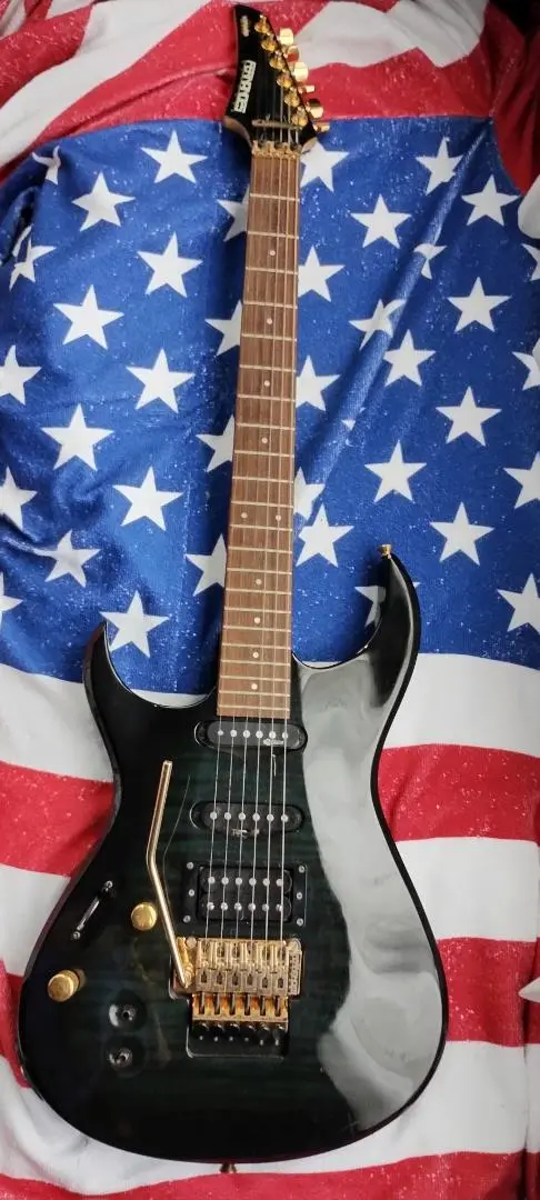 フェルナンデス　 サスティナー付き レフティ仕様 希少！サウスポーモデル！サスティナー付きTEJ-95S入荷