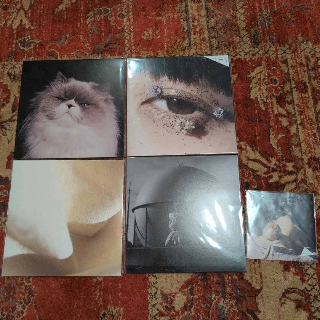 2025年最新】カネコアヤノ 燦々 レコードの人気アイテム - メルカリ