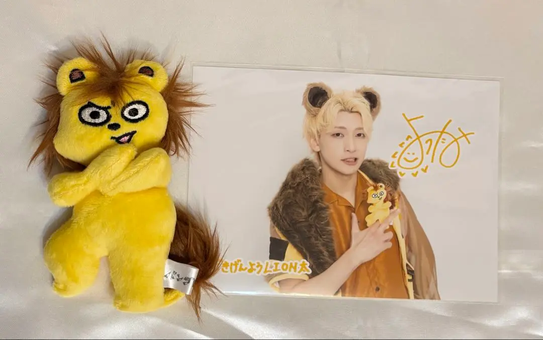 2025年最新】パンダドラゴン ようた ぬいの人気アイテム - メルカリ