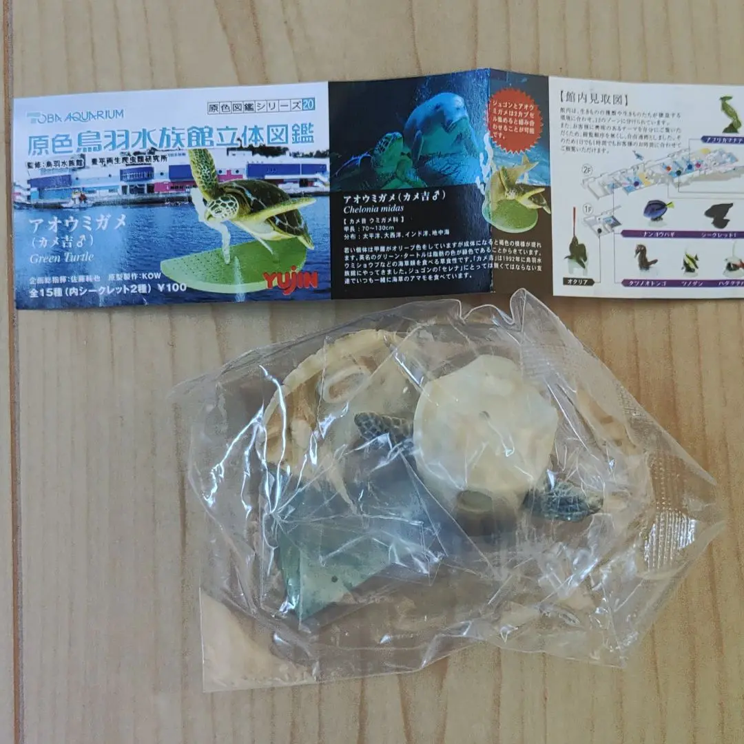 2025年最新】原色鳥羽水族館の人気アイテム - メルカリ
