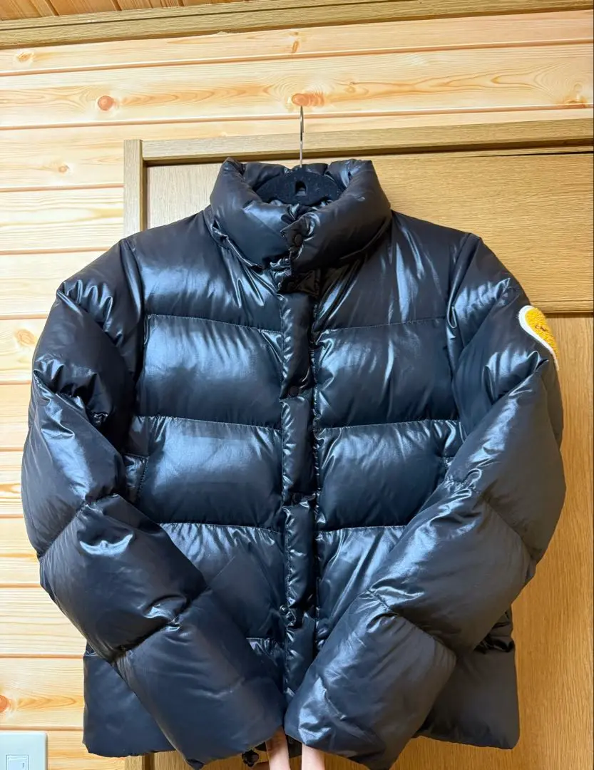 2025年最新】Carhartt 素材(詰め物)：フェザー メンズ ダウン