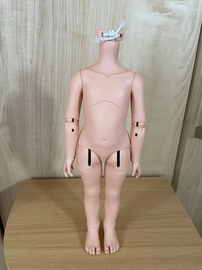 ☆T♪☆パオラレイナ　稼働ボディ　２体セット 2025年最新】パオラレイナ可動ボディの人気アイテム - メルカリ