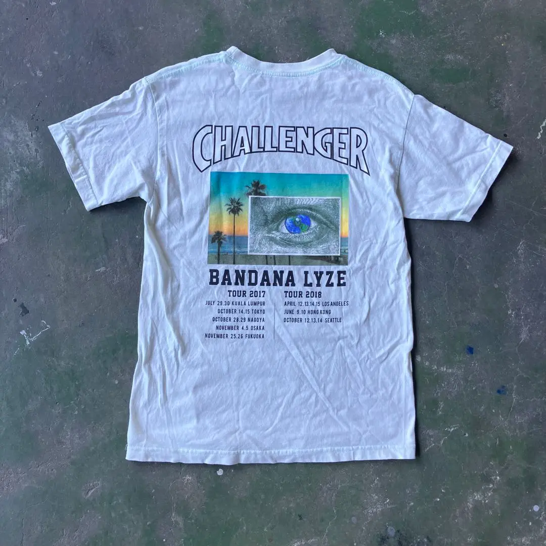 CHALLENGER BANDANA LYZE TIGER ロンt tee L 71I7-H7jWLL.jpg