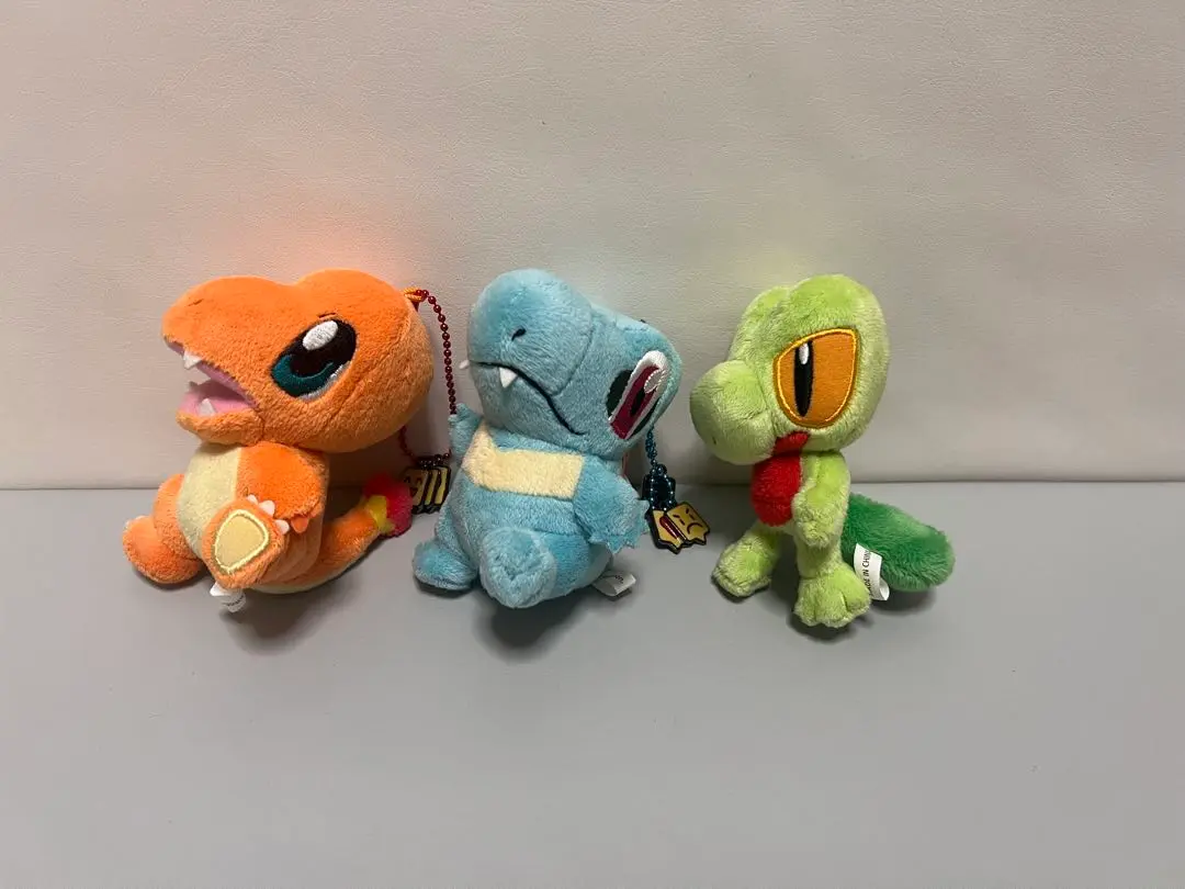 ポケモンセンター 連れ歩きシリーズ ヒトカゲ タグ付き ポケモンセンター 連れ歩きマスコット ヒトカゲ ぬいぐるみ 約