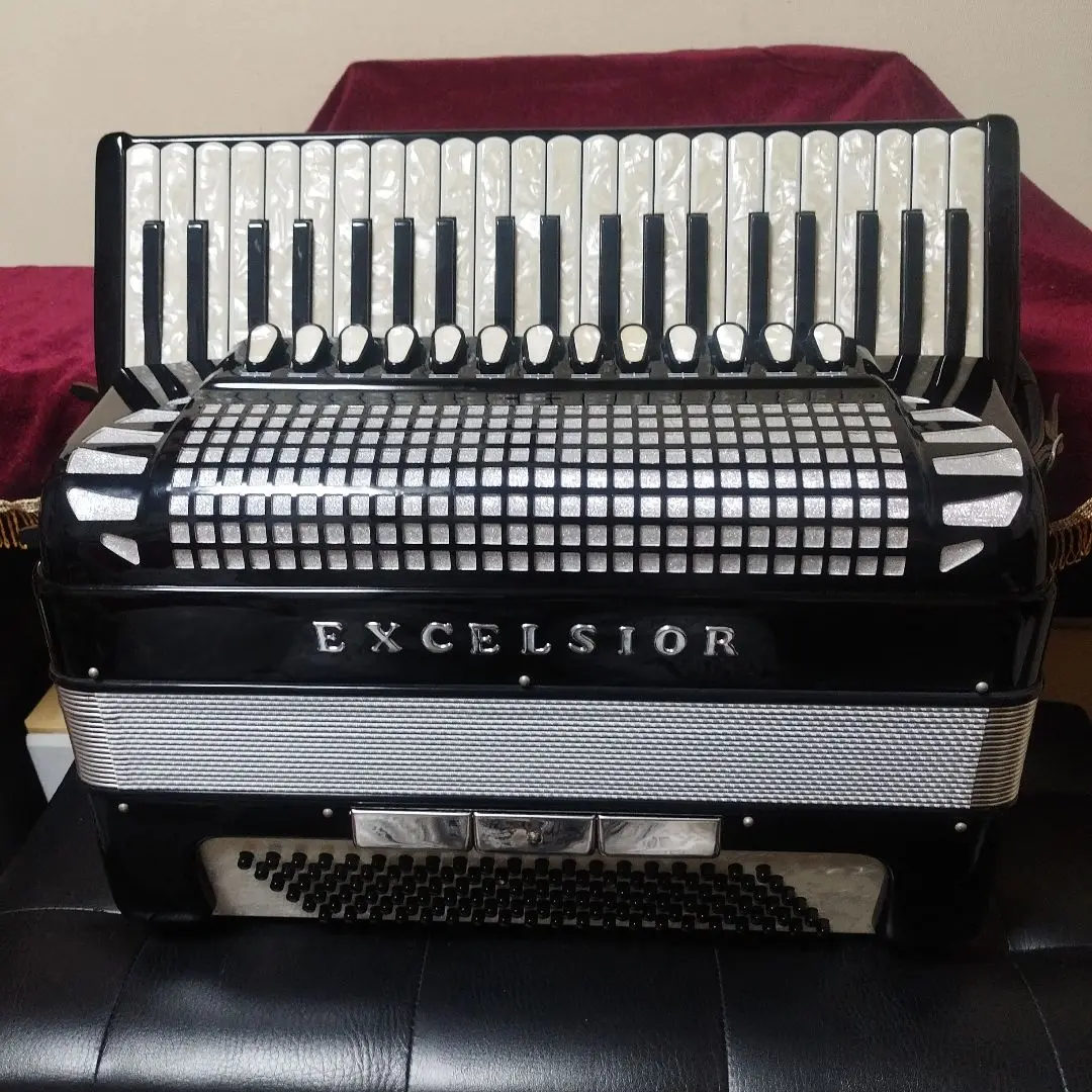 2025年最新】Excelsior 320の人気アイテム - メルカリ