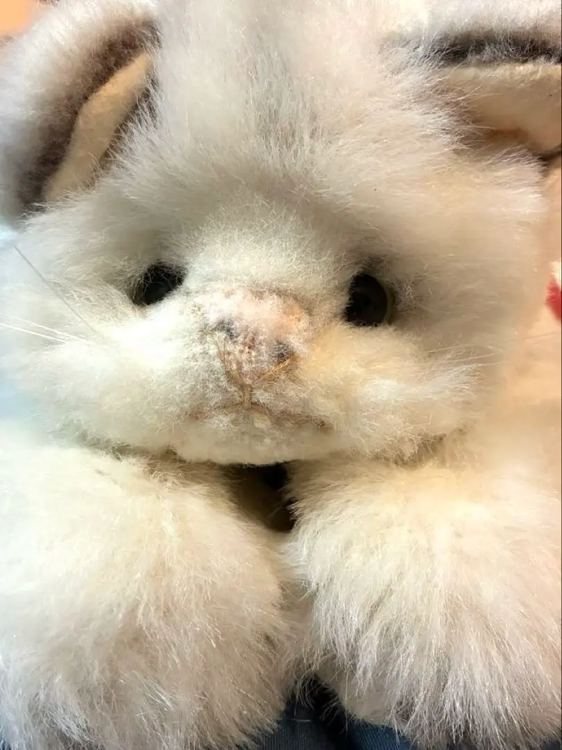 Thumbnail of Liebe Cat Plush Toy, Approximately 35cm Long, Vintage