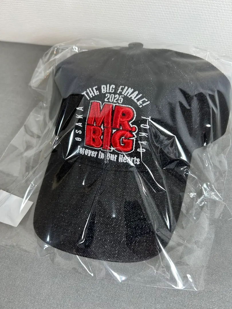 2025年最新】mr.big キャップの人気アイテム - メルカリ