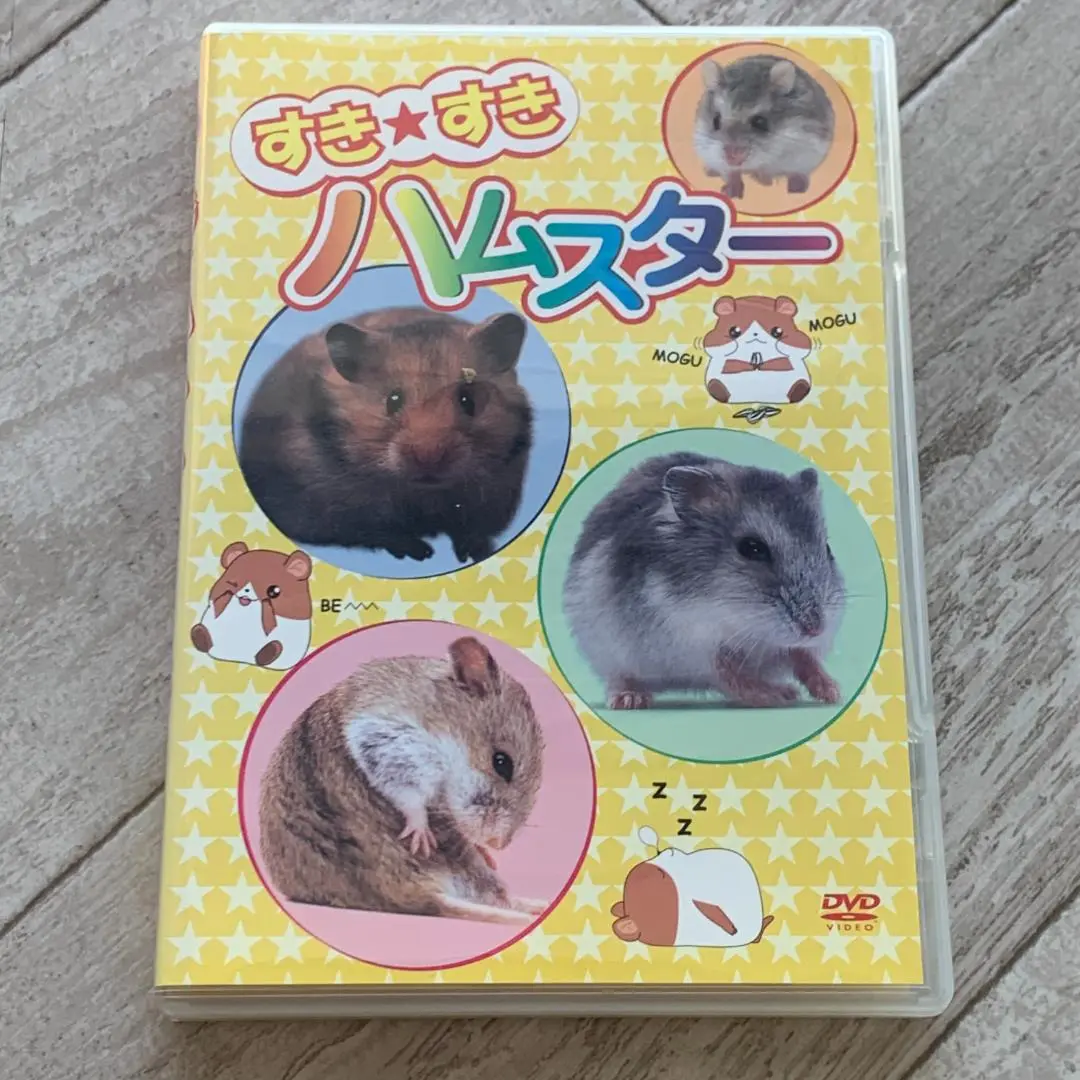 すき★すきハムスター：中古DVD 中古】DVD▽すき☆すきハムスター レンタル落ちの通販 by 遊