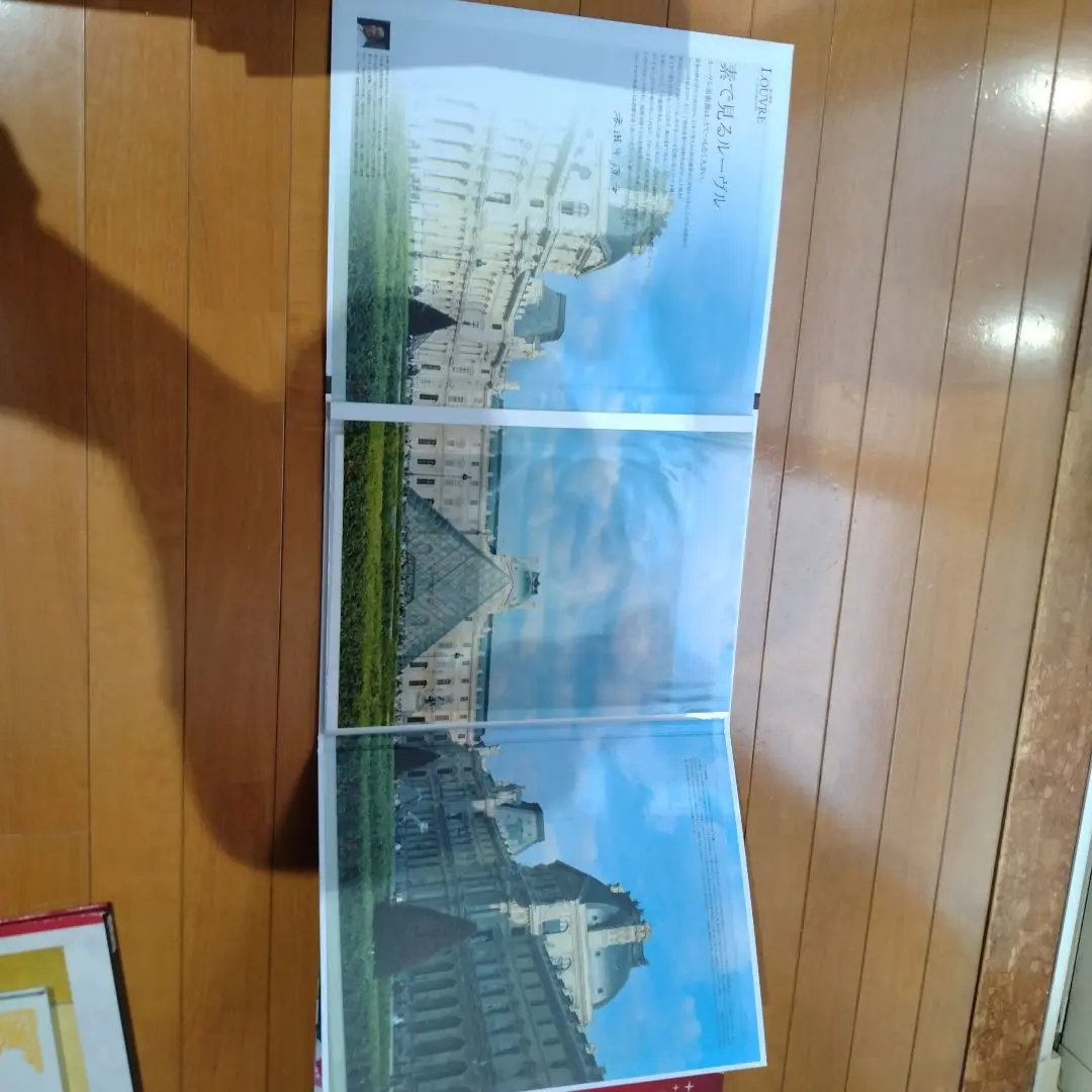 シャガール、ルーヴルのカルーゼル、希少画集画、額装付 シャガール、ルーヴルのカルーゼル、希少画集画、額装付 - メルカリ