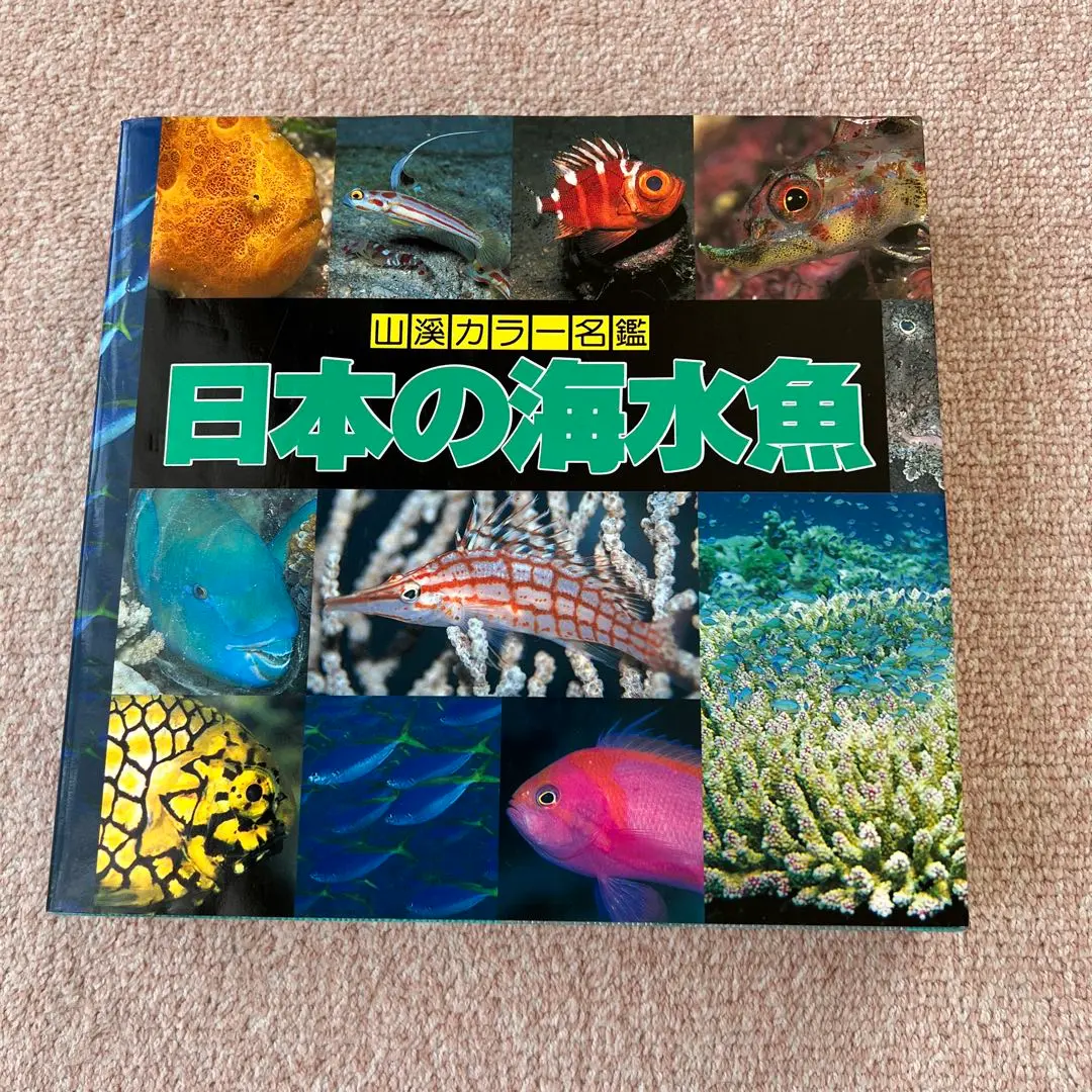 2025年最新】山渓 日本の海水魚の人気アイテム - メルカリ