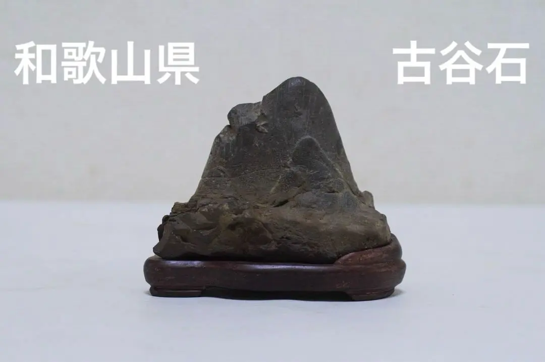 古谷石　台座付　木箱付き　和歌山田辺産 古谷石 台座付 木箱付き 和歌山田辺産Ω
