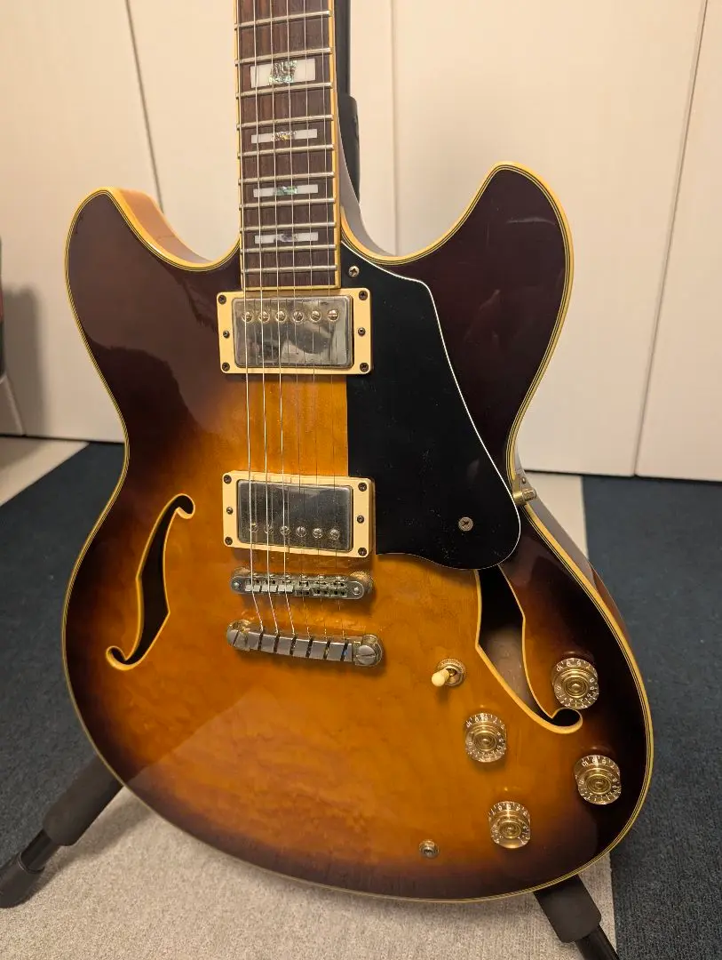 2025年最新】Ibanez ASの人気アイテム - メルカリ