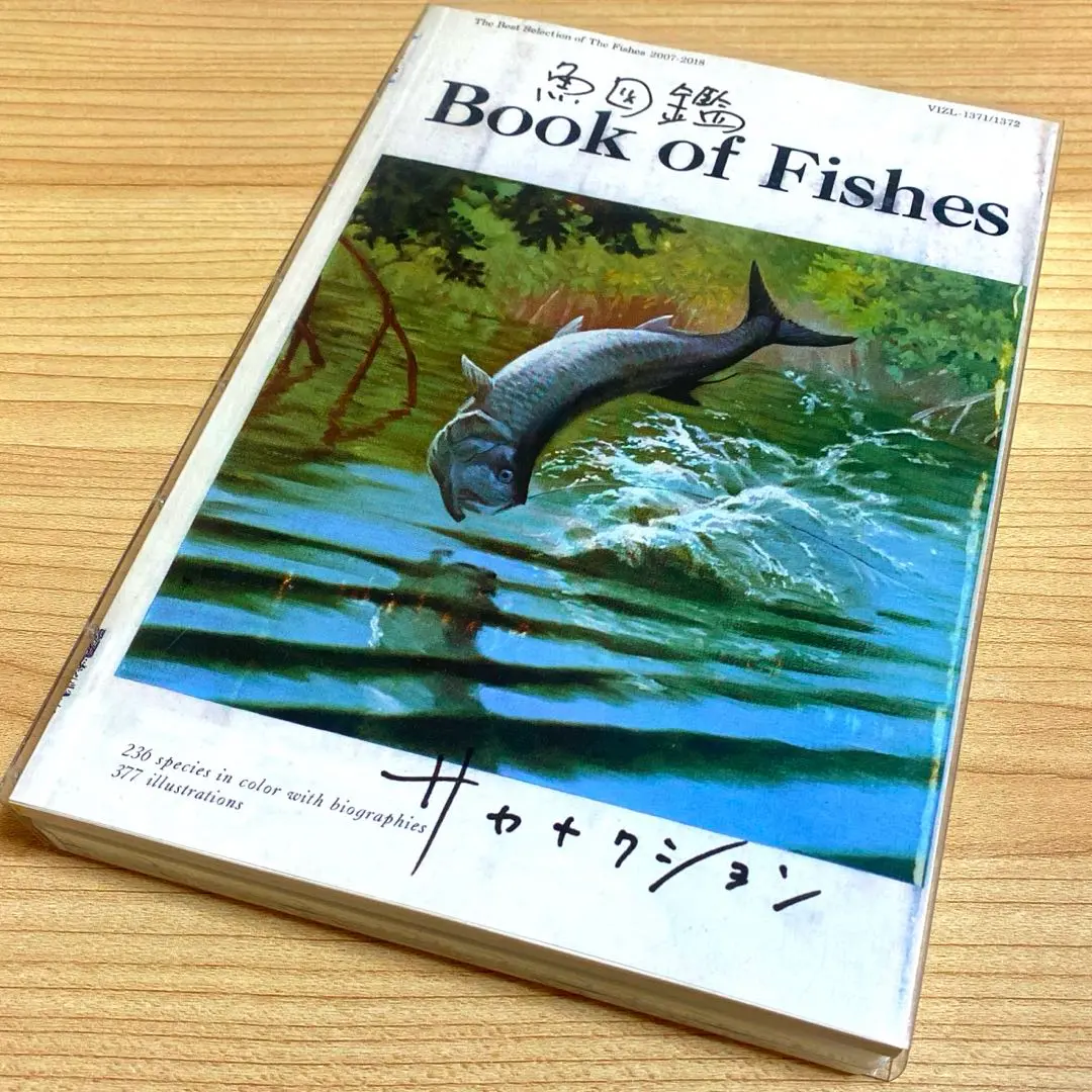 2025年最新】サカナクション 魚図鑑 3cdの人気アイテム - メルカリ