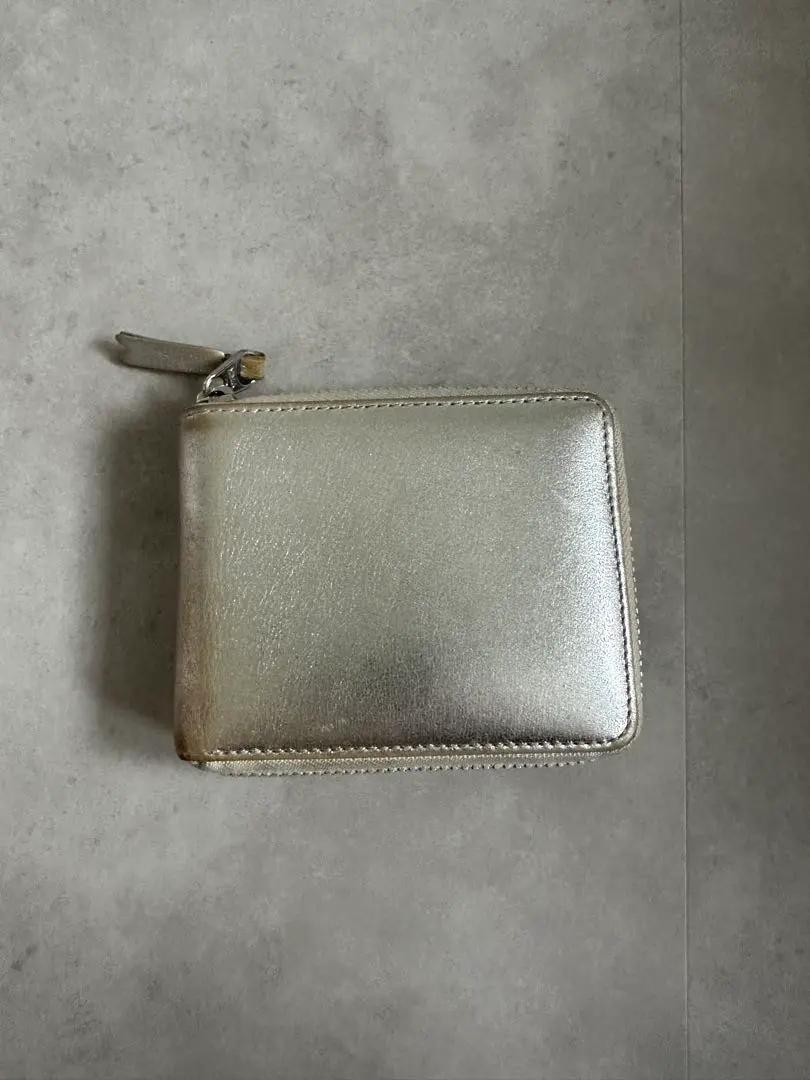 Thumbnail of Silver Zippered Coin Case