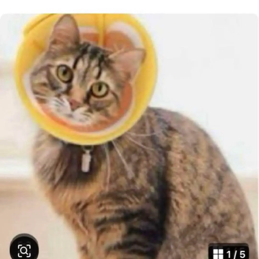 Thumbnail of Elizabeth Collar Cat Neck Protector, Cat, Size S, Soft Elizabeth Collar