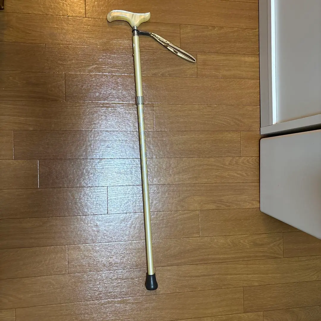 Thumbnail of Yumi Katsura's Cane