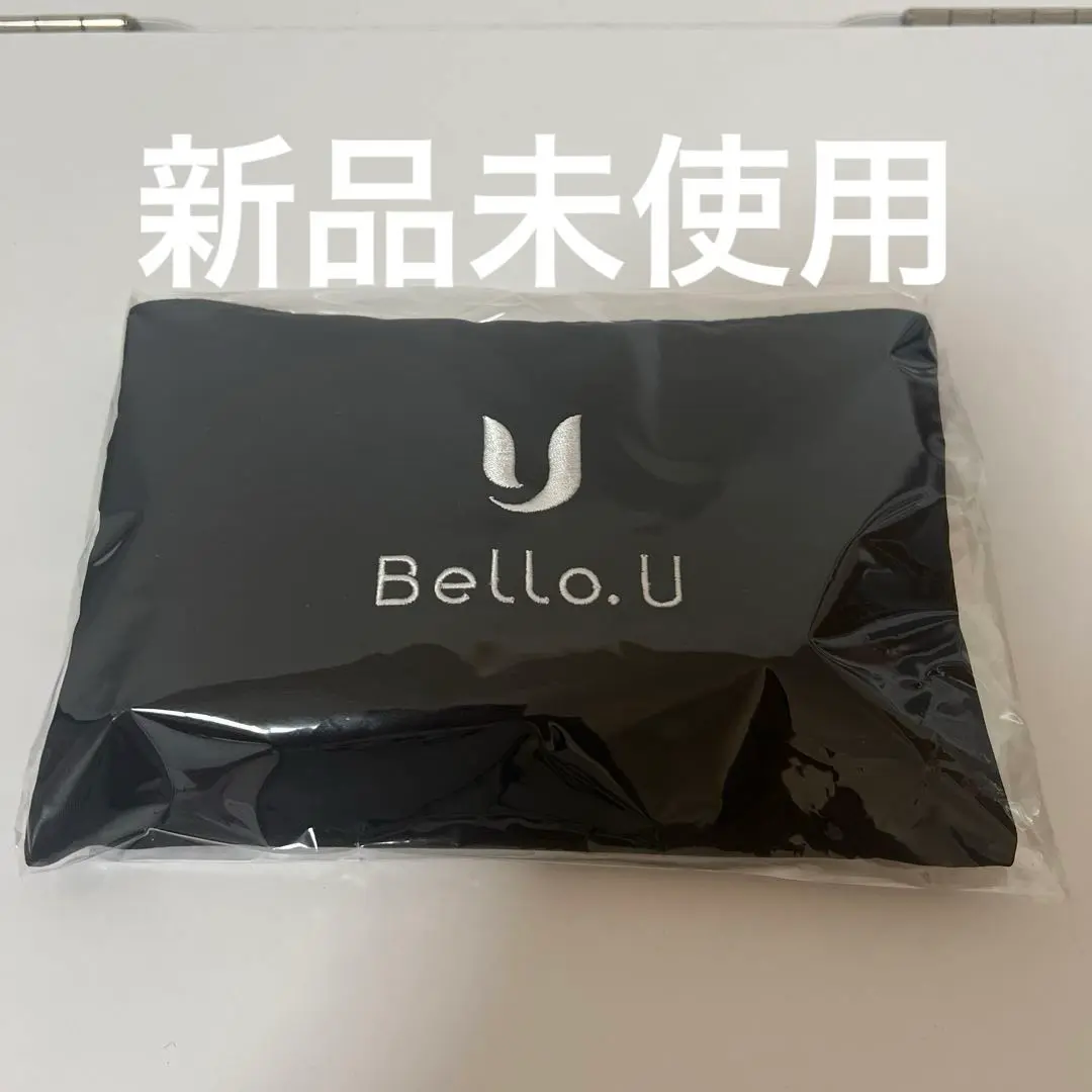 チチャンウク ブランケット(バック付き) グッズ