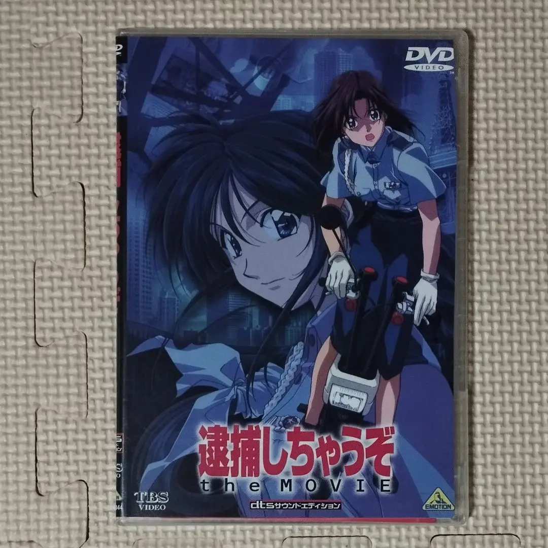 逮捕しちゃうぞ　アニメ ポストカードセット 10枚　DVD特典 逮捕しちゃうぞ アニメ ポストカードセット 10枚 DVD特典 逮捕し