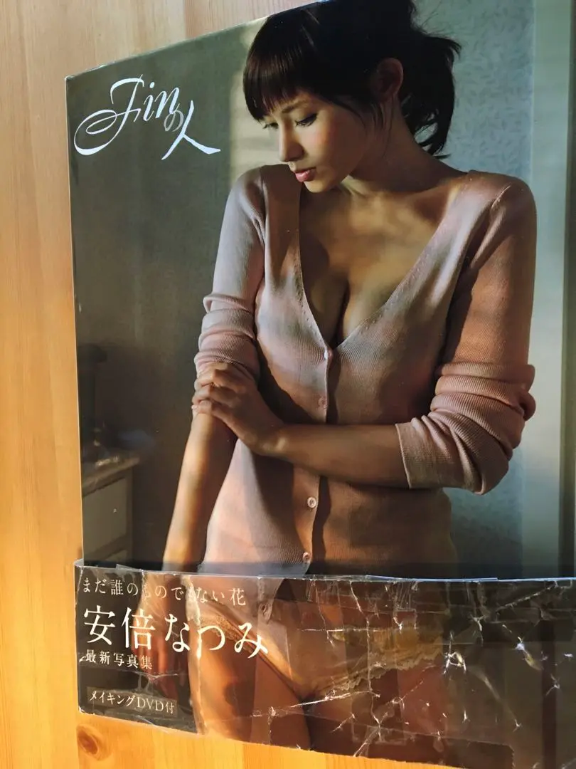A10- 11冊 モーニング娘。 安倍なつみ 写真集 A10- 11冊 モーニング娘。 安倍なつみ 写真集