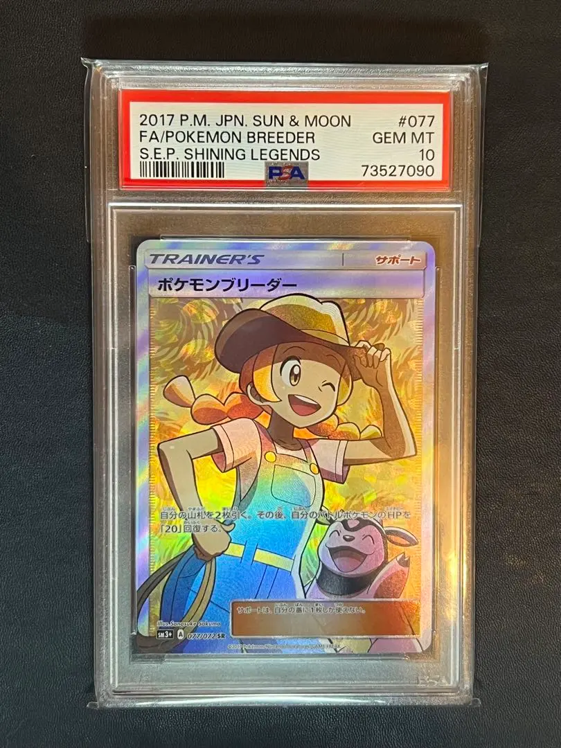 2025年最新】ポケモンブリーダー sr psa10の人気アイテム - メルカリ