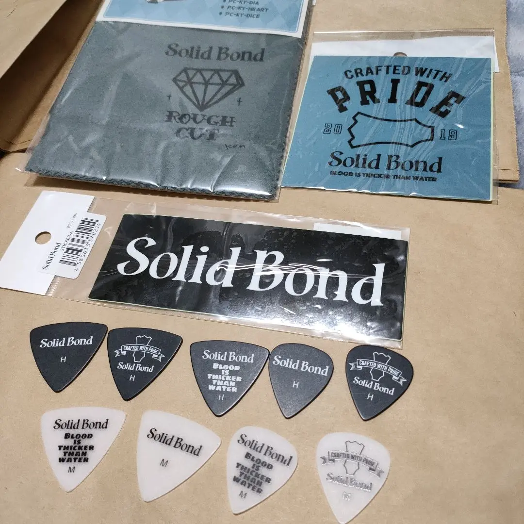 Hi-STANDARD KEN YOKOYAMA 使用ピック　2枚セット Jim Dunlop Dunlop ピック KEN YOKOYAMA 横山健 第二弾