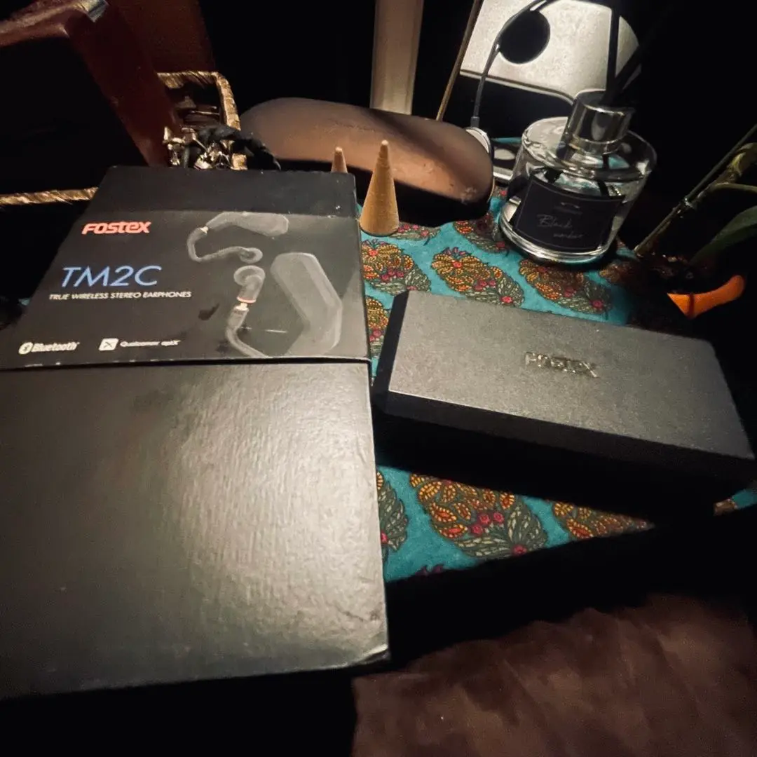 Fostex TM2C トゥルーワイヤレスイヤフォン（完全ワイヤレス
