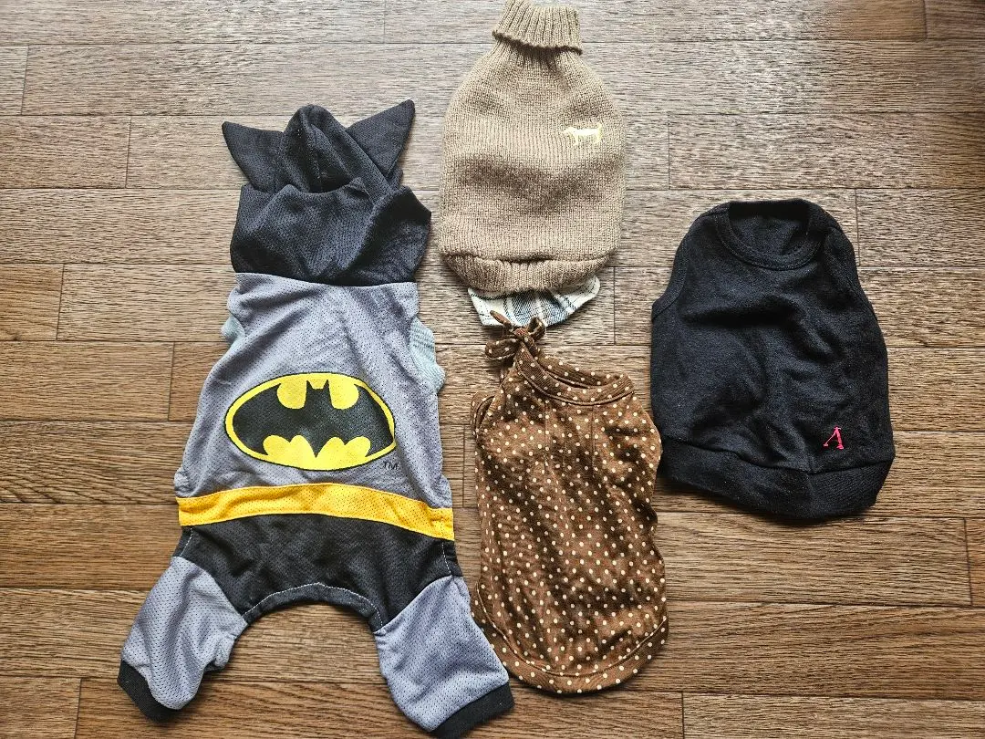 犬服∕蝙蝠俠毛衣 AS KNOW AS 等 的縮圖