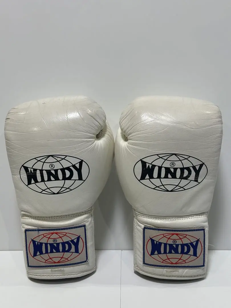 WINDY★ポストターゲット★中古★サンドバッグ WINDY☆ポストターゲット☆中古☆サンドバッグ ボクシング